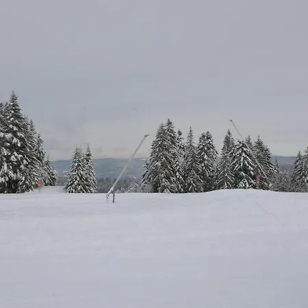 Au Refuge Des Chamois, 125 M2, Wifi Et Babyfoot Chalet