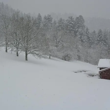 Au Refuge Des Chamois, 125 M2, Wifi Et Babyfoot * Gerbépal